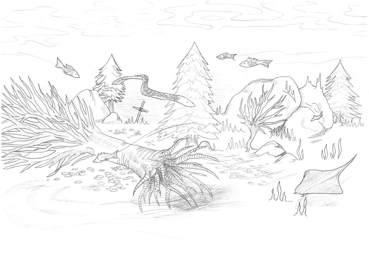 Sunken Forest - The rising sea level has submerged an entire northern forest. Tropical sea creatures now swim through it. The same large stone from which the mist beings once emerged long ago is still there.